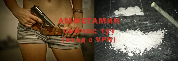 ГАЛЛЮЦИНОГЕННЫЕ ГРИБЫ Алзамай