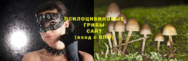 apvp Алексеевка