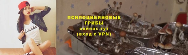 ГАЛЛЮЦИНОГЕННЫЕ ГРИБЫ Алзамай