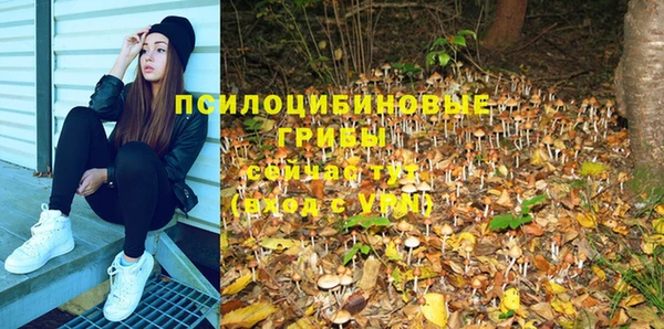 ГАЛЛЮЦИНОГЕННЫЕ ГРИБЫ Алзамай