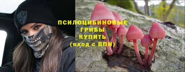 apvp Алексеевка