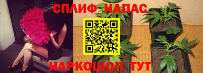 соль ск Пушкино