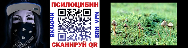 Псилоцибиновые грибы Cubensis  omg как зайти  Слободской 