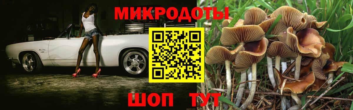 Псилоцибиновые грибы Psilocybe Слободской