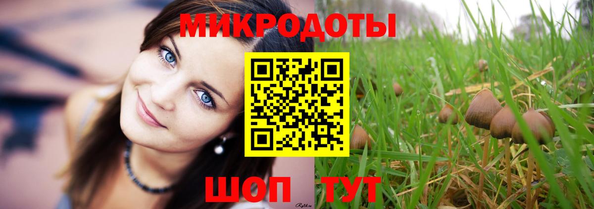 Галлюциногенные грибы Psilocybine cubensis  Галлюциногенные грибы прущие грибы  как найти   Вход с VPN  Слободской 